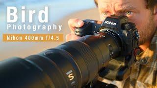 NIKON Z 400mm f4.5 - Photographing birds in flight with 1.4x teleconverter