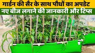 गार्डन की सैर के साथ पौधों का अपडेट नए बीज लगाने की जानकारी और टिप्स  Garden Tour And Plant Update