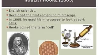 Unit 4 Cell Theory and the Scientists who Created It