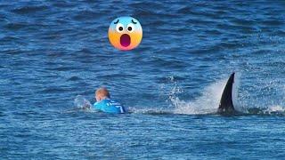 Shark Attack Sydney Unedited - Viral Video