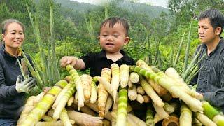 Helping An Old Woman In Difficulty While Picking Bamboo Shoots In The Forest BayNguyen