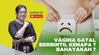Dokter 24 - Vagina Gatal Berbintil Kenapa ? Bahayakah ?