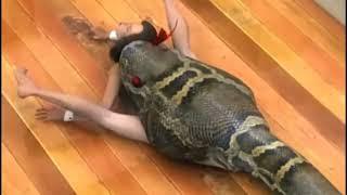 Snake Eating a Girl 2 Vore