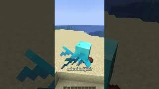 Minecraftta Allaylerin HİÇ Bilinmeyen Hikayesi #shorts #minecraft #short #shortsvideo #tiktok