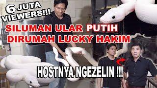 SILUMAN ULAR PUTIH DI RUMAH ARTIS LUCKY HAKIM