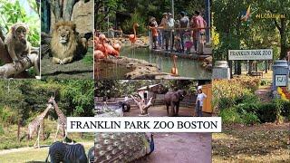 Franklin Park Zoo Boston