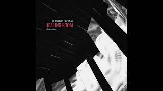 cosmos in buzunar - HEALING ROOM - hybrid session EP