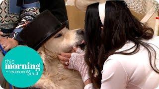 Woman Marries Her Dog Live on This Morning  This Morning