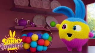 SUNNY BUNNIES - Multicolor Bunnies   Season 5  Cartoons for Children