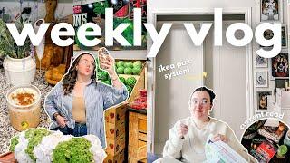 ikea pax built in closet set up + reading reading  WEEKLY VLOG