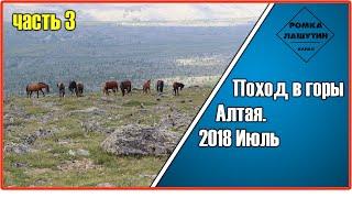 Поход в горы Алтая 2018 3