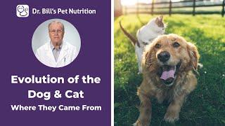 Evolution Of The Dog & Cat  Where They Came from  Dr. Bills Pet Nutrition