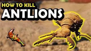 How To Kill Antlions Easily