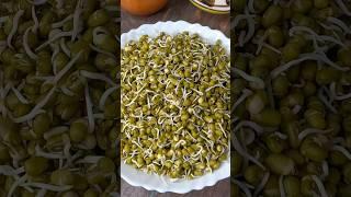 How To Make Sprouts Moong At Home#sprours green gram  #shorts #Somas Kitchen