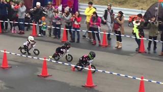 Wild Runner Cup 6th  4 years old  Final race  Strider racing in Japan