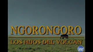 Inheritance of the largest volcanic caldera on the planet the sons of Ngorongoro FULL DOCUMENTARY