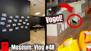 Taube attackiert das LEGO Museum   Eingangsbereich bereit  Vlog #48