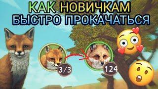 КАК НОВИЧКАМ БЫСТРО ПРОКАЧАТЬСЯ В WILDCRAFT 