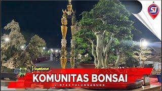 #144 PERKUMPULAN PENGGEMAR BONSAI  - STUDENT JOURNALISM