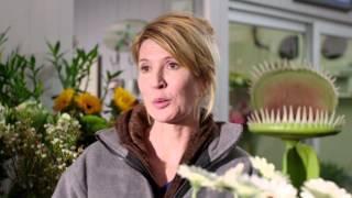 Flower Shop  Julia Davis