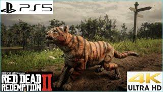 Red Dead Redemption 2 Capturing The Tiger  PS5 4K Gameplay