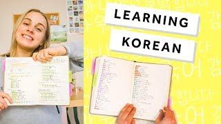 How I Study KOREAN  Notebook practice vocabulary 