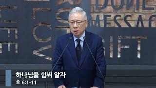 아침예배 하나님을 힘써 알자 호 61-11_베이직교회_조정민 목사_20241008