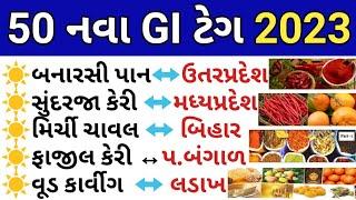 GI ટેગ 2023 GK  GI Tag Gk 2023 In Gujarati  GI Tag In Gujarati  Current GI Tag In Gujarati