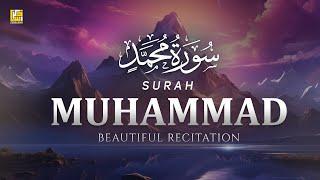 Stunning recitation of Surah Muhammad سورة محمد  SOFT VOICE  Zikrullah TV