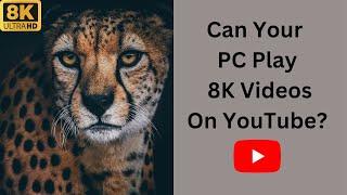 Can Your PC Play 8K Videos On YouTube?  8K Video - John Tech
