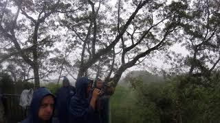 Amazon rain forest - raining hard in the treehouse gang says hello