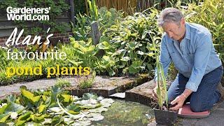 5 of the best POND PLANTS for wildlife and to enhance your garden  Alan Titchmarsh