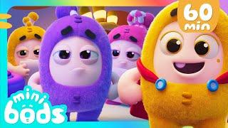 Fly By Night  Minibods  Rob the Robot & Friends - Funny Kids TV