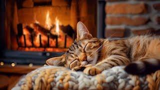 Peaceful Night with Purring Cat  Purr Sound & Fireplace Sound for Sleeping Relaxing in 24 Hours