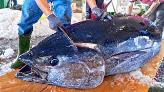 Fastest cutting speed！Giant Bluefin Tuna Cut in 5 minutes Braised Bluefin Tuna Eyes蘇澳最快刀！巨大黑鮪魚切割技巧