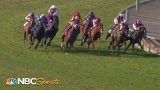 Breeders Cup 2023 The Turf FULL RACE  NBC Sports
