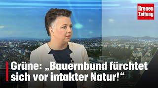 Voglauer Grüne „Bauernbund fürchtet sich vor intakter Natur“  krone.tv NACHGEFRAGT