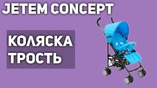 Прогулочная коляска Jetem Concept трость