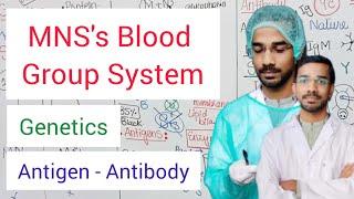 MNSs Blood Group System