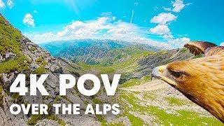 Breathtaking Eagle POV Flying Over The Alps in 4K