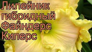 Лилейник гибридный Файндерс Киперс  обзор как сажать рассада лилейника Файндерс Киперс