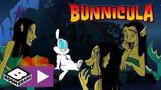 Bunnicula  Helping The Pirates  Boomerang UK 