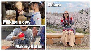 Milking a Cow and Making Butter at Tokyo Farm Village  OCHIKERON  Create Eat Happy 