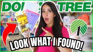 15 *NEW* Dollar Tree Items You DONT want to miss this July 2024