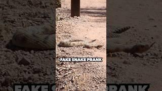 Fake Snake Prank 