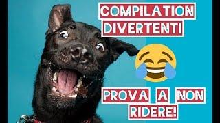 COMPILATION video divertenti 2019 - Prova a non ridere - FUNNY videos