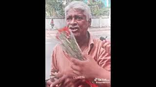 Mao සියා  #funny #funnyvideo #funnyshorts #srilanka #sigma #hamilton