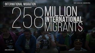 International migration by the numbers  Perspective with Alison Smith