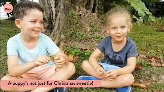 Sassy Kids Tell Us What I Want for Christmas