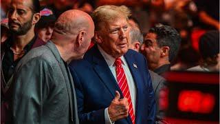 WATCH Donald Trump met with a thunderous applause at UFC 299
